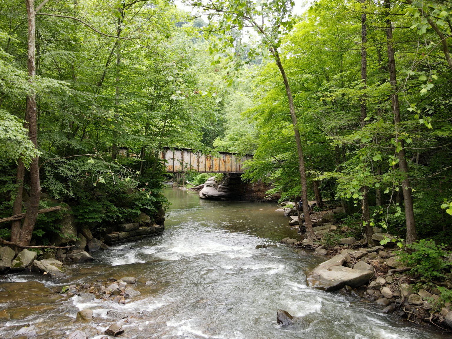 Paint Creek and Plum Orchard Lake Joe Justice Organization